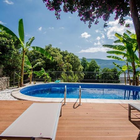 Vila Oliva Херцег-Нови Экстерьер фото