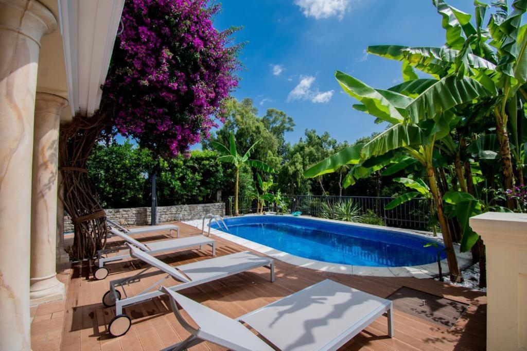 Vila Oliva Херцег-Нови Экстерьер фото