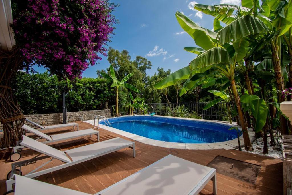 Vila Oliva Херцег-Нови Экстерьер фото
